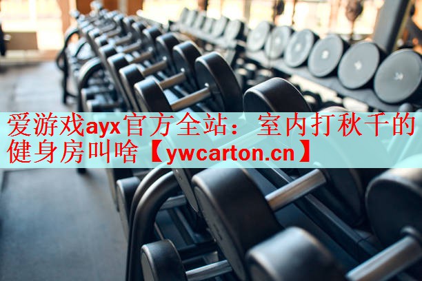 <strong>爱游戏ayx官方全站：室内打秋千的健身房叫啥</strong>